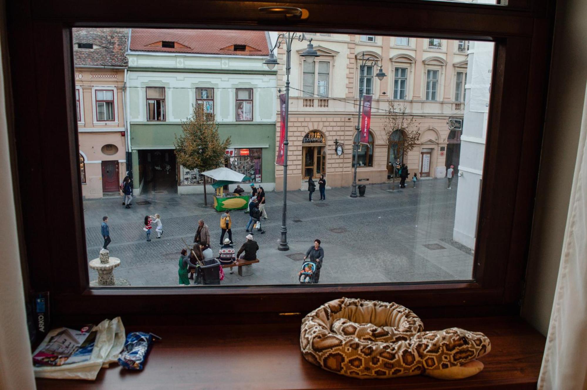 B13 Hostel Sibiu Eksteriør billede